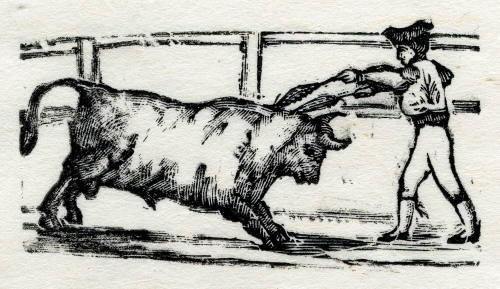 Puesta de banderillas