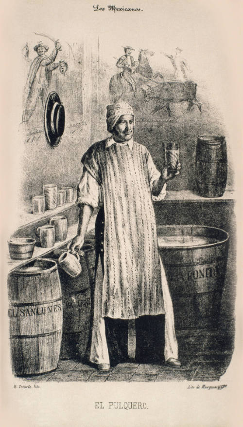 El pulquero