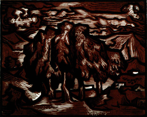 Los viejos madroños