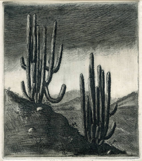 Paisaje con órganos