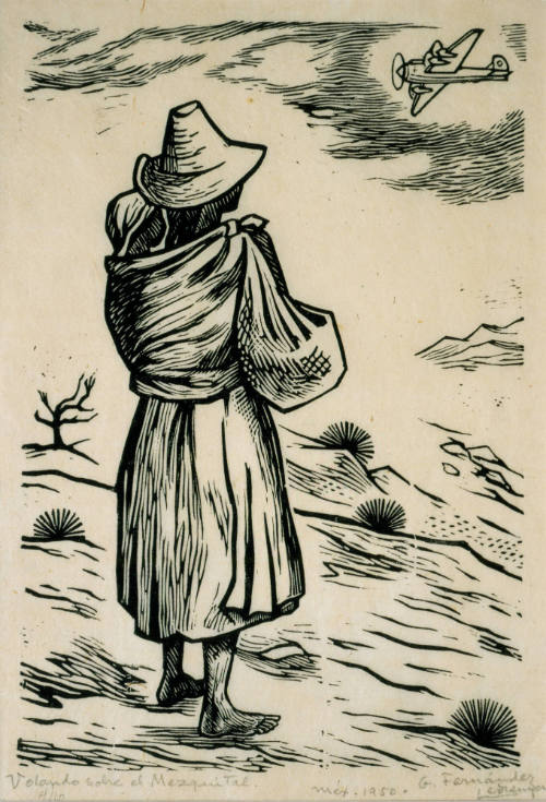 Volando sobre el mezquital