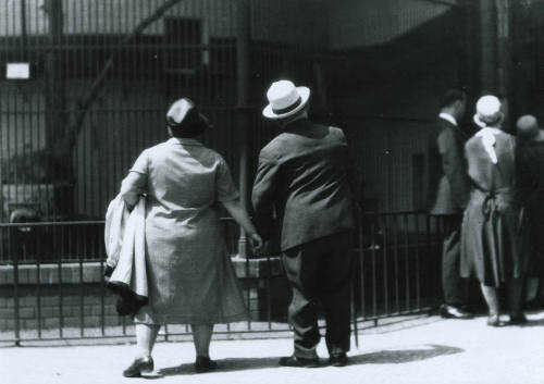 David Álvarez Lopezlena