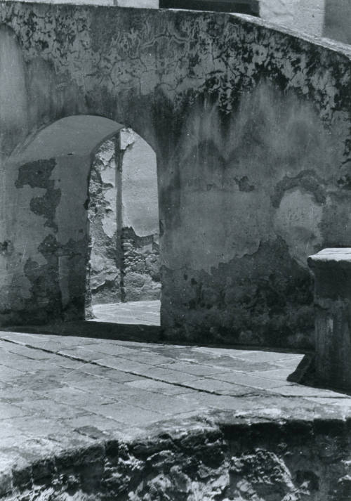 David Álvarez Lopezlena