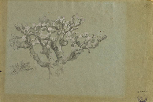 David Álvarez Lopezlena