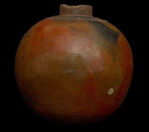 David Álvarez Lopezlena