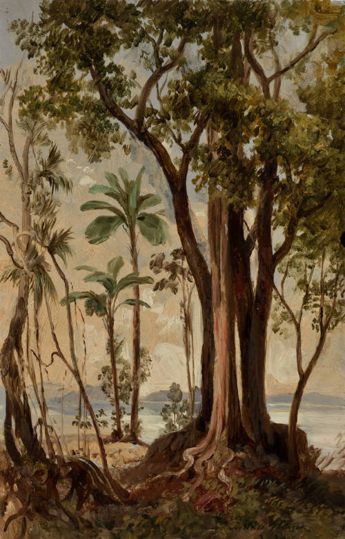 David Álvarez Lopezlena