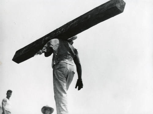 David Álvarez Lopezlena