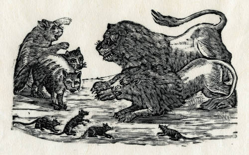 David Álvarez LopezLena